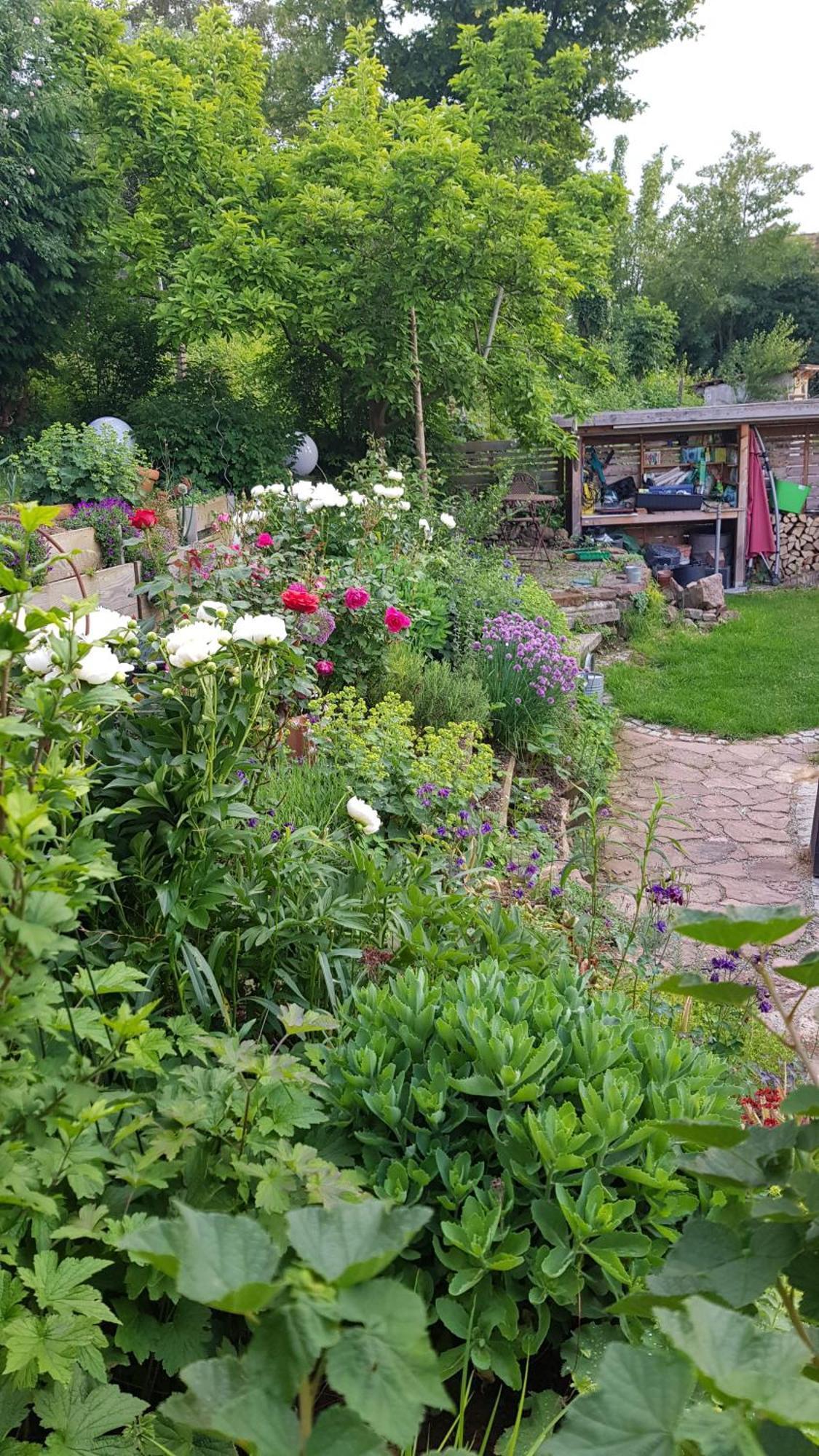 Wohnung Mit Sauna, Garten & Schwimmteich Bietigheim-Bissingen Εξωτερικό φωτογραφία