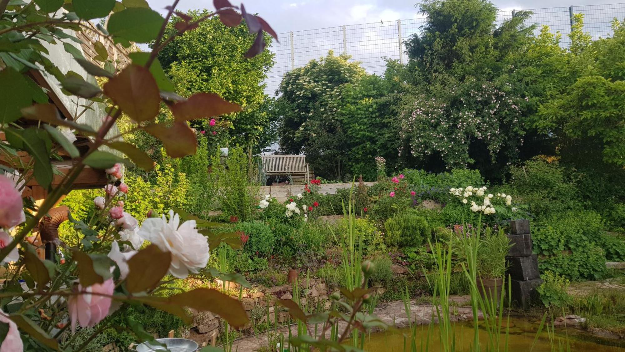 Wohnung Mit Sauna, Garten & Schwimmteich Bietigheim-Bissingen Εξωτερικό φωτογραφία