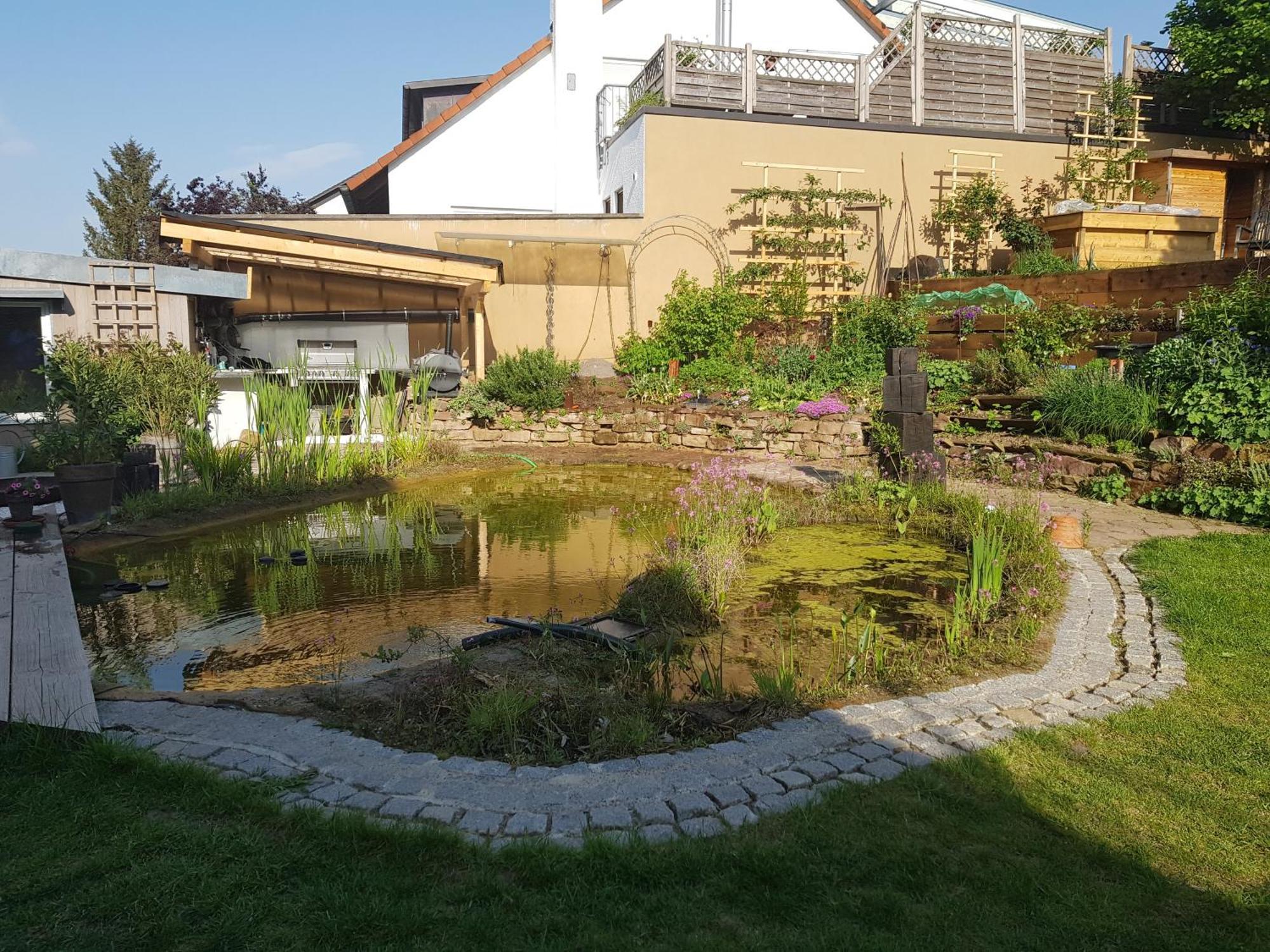 Wohnung Mit Sauna, Garten & Schwimmteich Bietigheim-Bissingen Εξωτερικό φωτογραφία