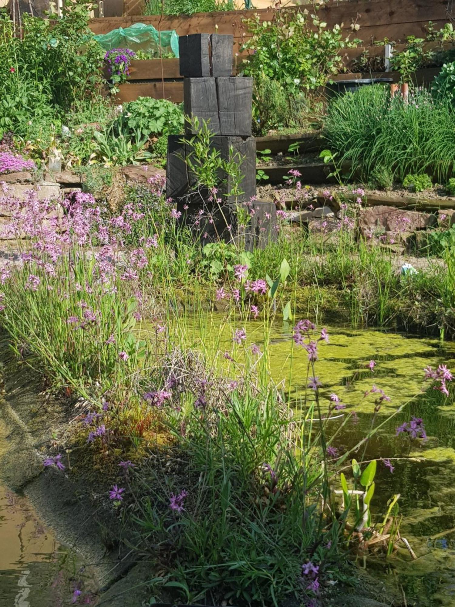 Wohnung Mit Sauna, Garten & Schwimmteich Bietigheim-Bissingen Εξωτερικό φωτογραφία