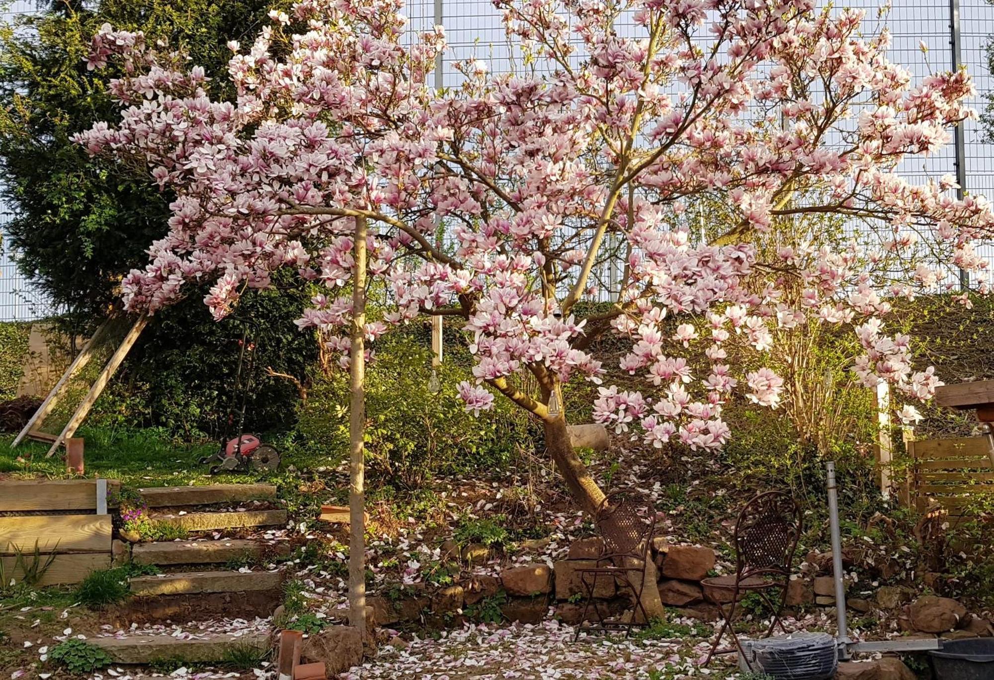 Wohnung Mit Sauna, Garten & Schwimmteich Bietigheim-Bissingen Εξωτερικό φωτογραφία